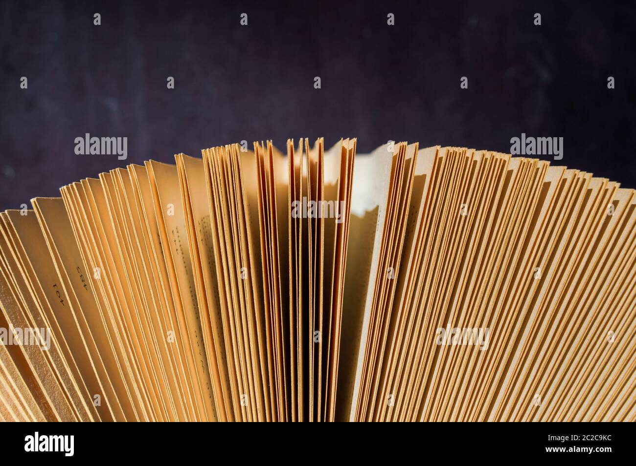 Closed Book Pages