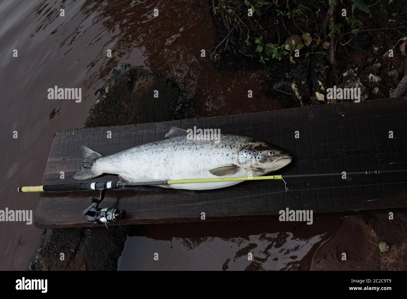 Big Rod Big fish fishing rod hi-res stock photography and images - Alamy