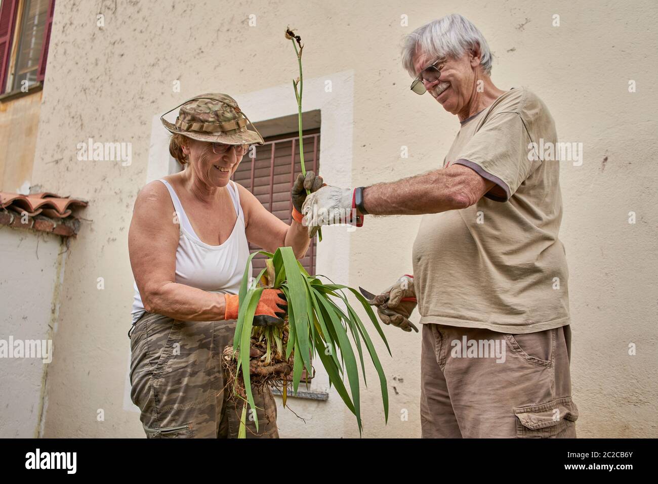 Happy senior couple working in the garden together Stock Photo