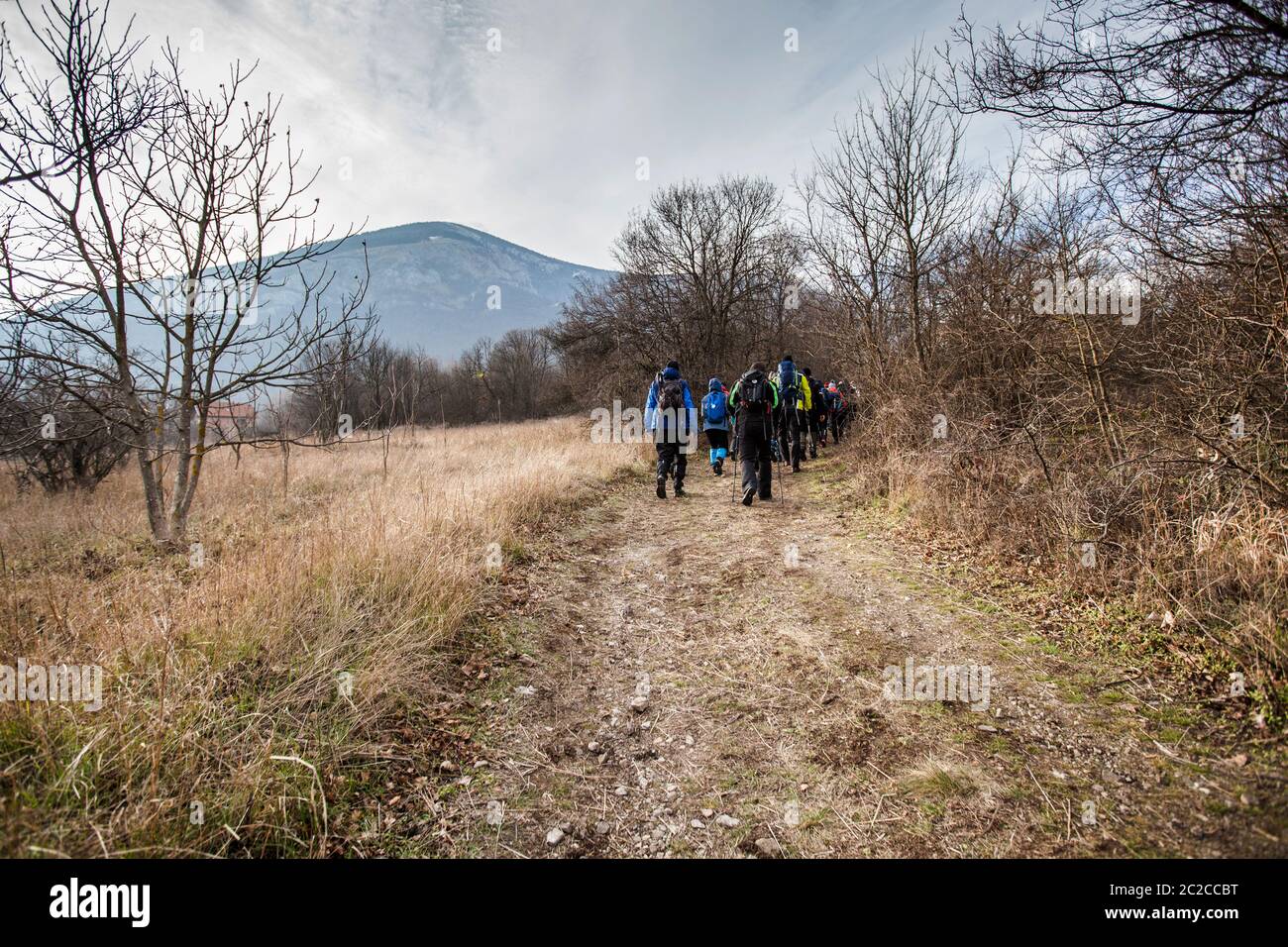 Hiking, Travel, Adventure. Explore. Group of active people with backpack walking on a rural landscape in autumn day. Stock Photo