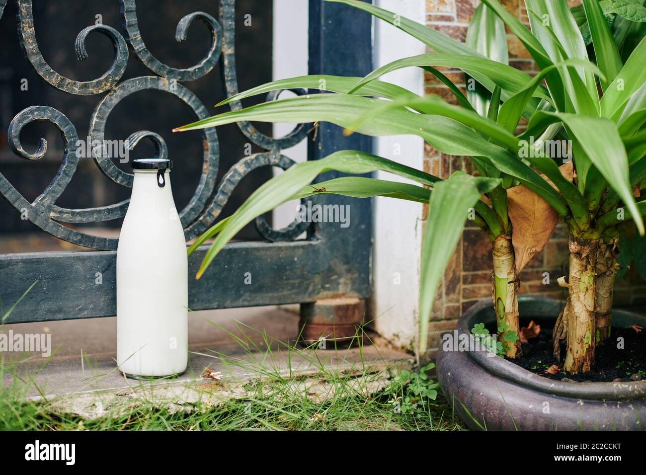 Glass bottle full of fresh milk delivered to someone standing on ground against wicket, horizontal close up shot, copy space Stock Photo