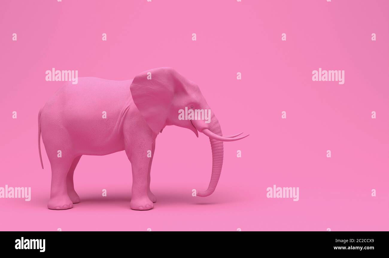 One plain pink realistic elephant isolated on a pink background. Creative conceptual monochrome illustration with copy space. 3D rendering. Stock Photo