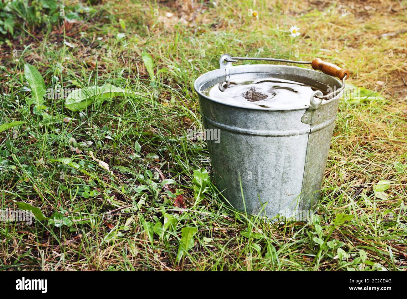 Old metallic bucket with rain water in the summer Stock Photo