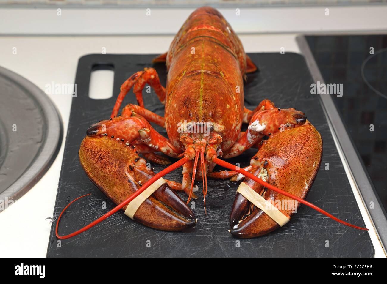 Big Lobster Cooked at Cutting Board Stock Photo - Alamy