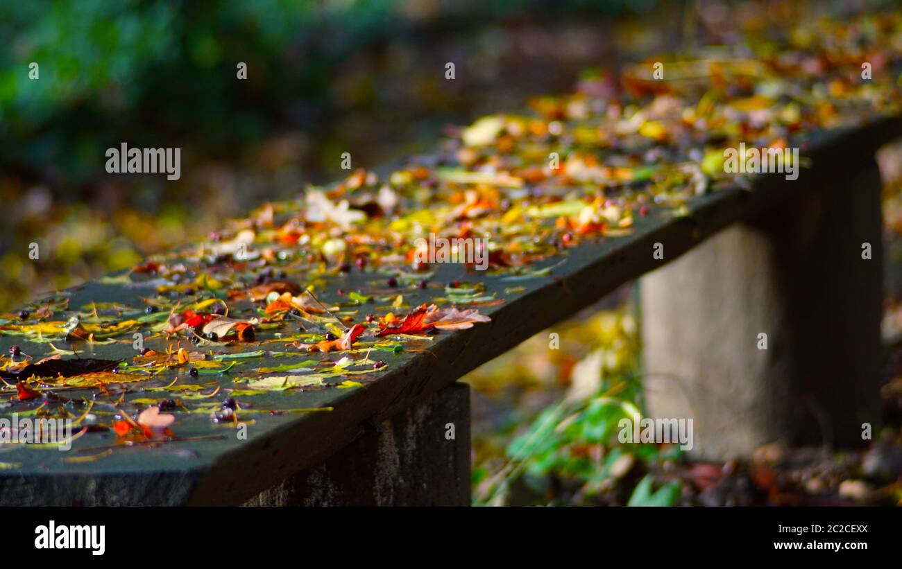 Flora and fauna hi-res stock photography and images - Alamy