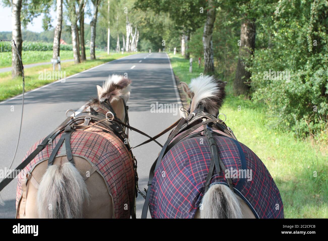 Pull carriage hires stock photography and images Alamy
