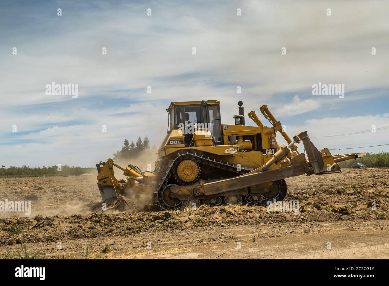 A Caterlillar D8 tractor ripping the soil in a recently removed grove ...