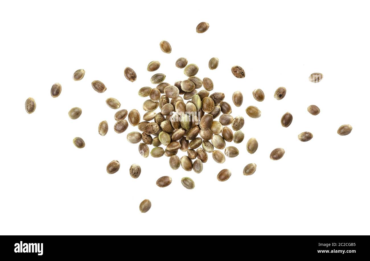 Hemp seeds isolated on white background with clipping path, close up