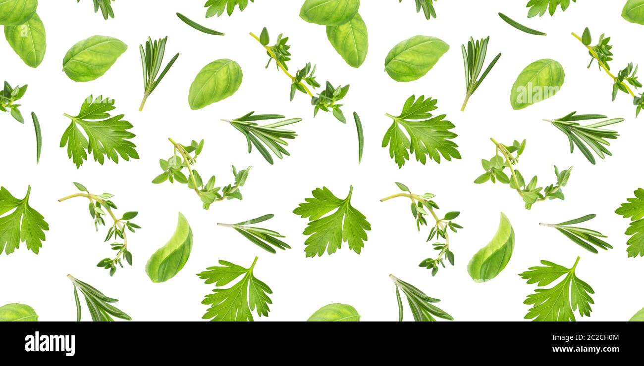 Different spices and herbs seamless pattern isolated on white background, top view Stock Photo