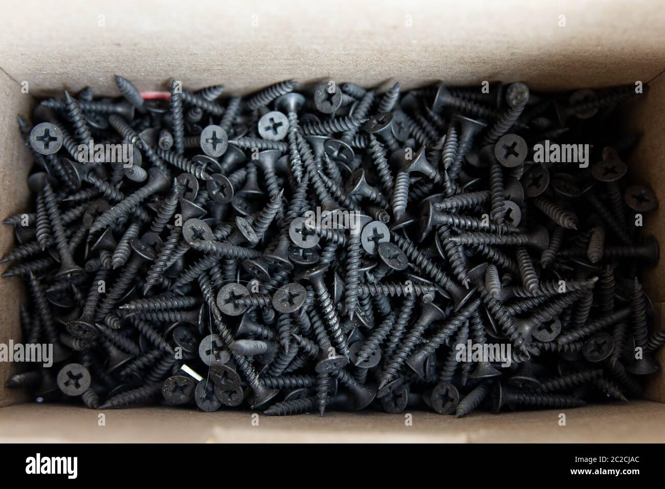 black screws in cardboard box Stock Photo