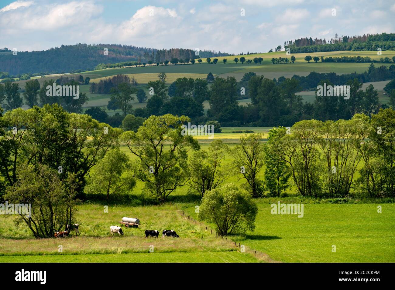 Landscape in the south of Lichtenfels, in Hessen, Germany Stock Photo