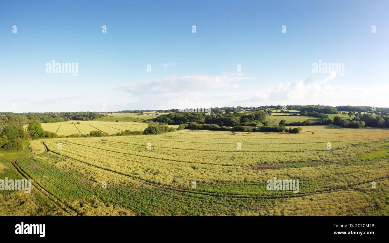 aerial view of the essex countryside near Ulting in essex Stock Photo