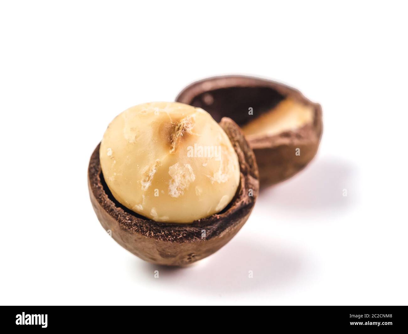 macadamia nut isolated on white Stock Photo