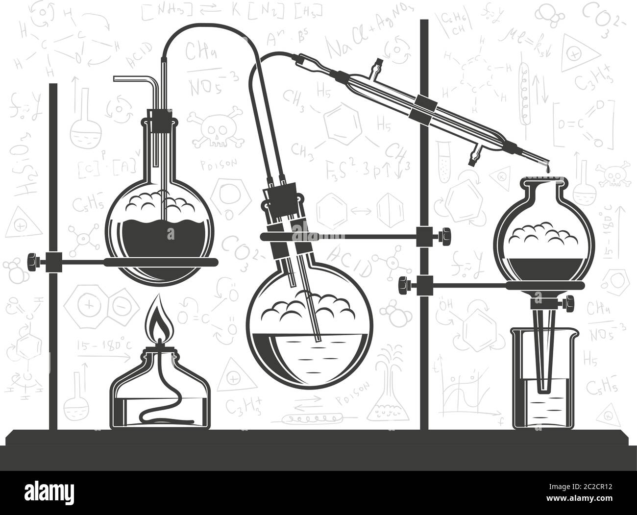 Flasks Definition Biology at Anne Suzanne blog