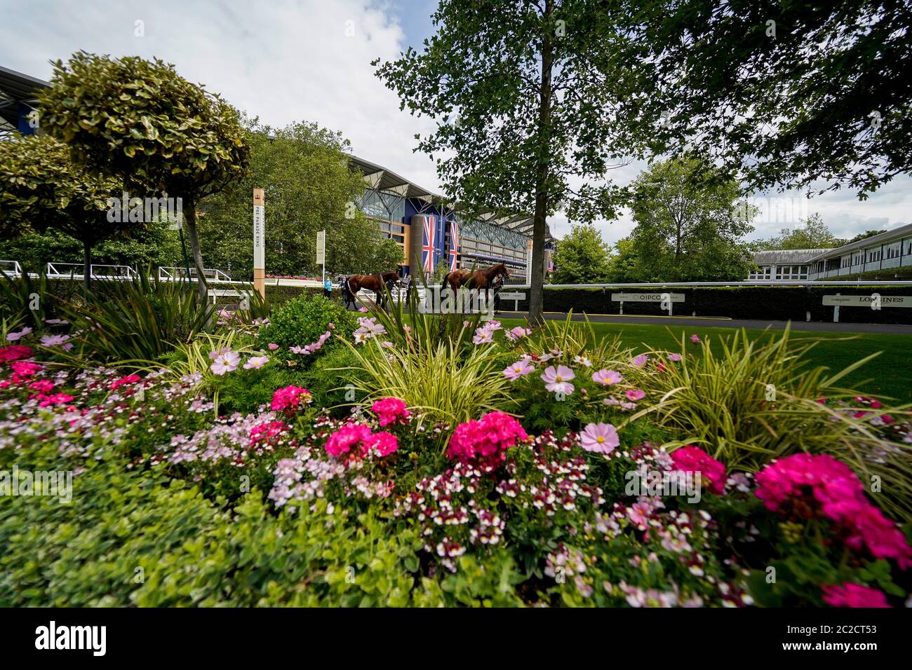 A general view of the pre parade ring during day two of Royal Ascot at Ascot Racecourse. Stock Photo
