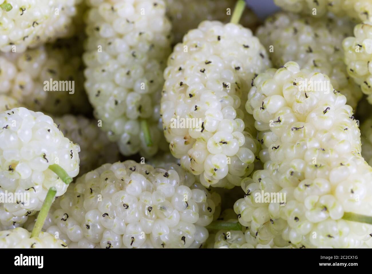 White mulberry on rustic board Stock Photo