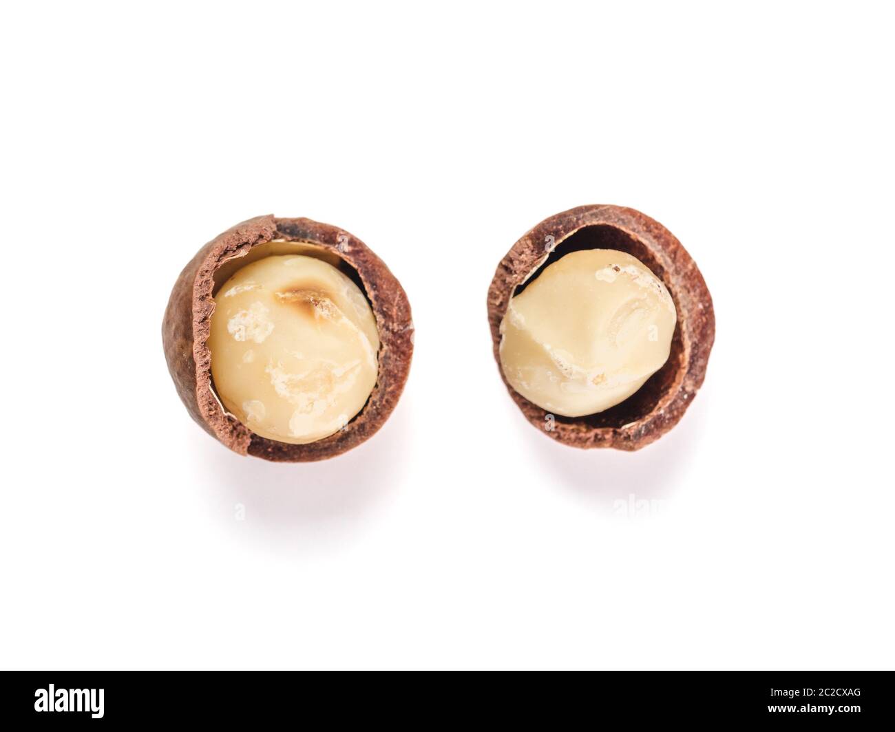 Two open shells hi-res stock photography and images - Alamy