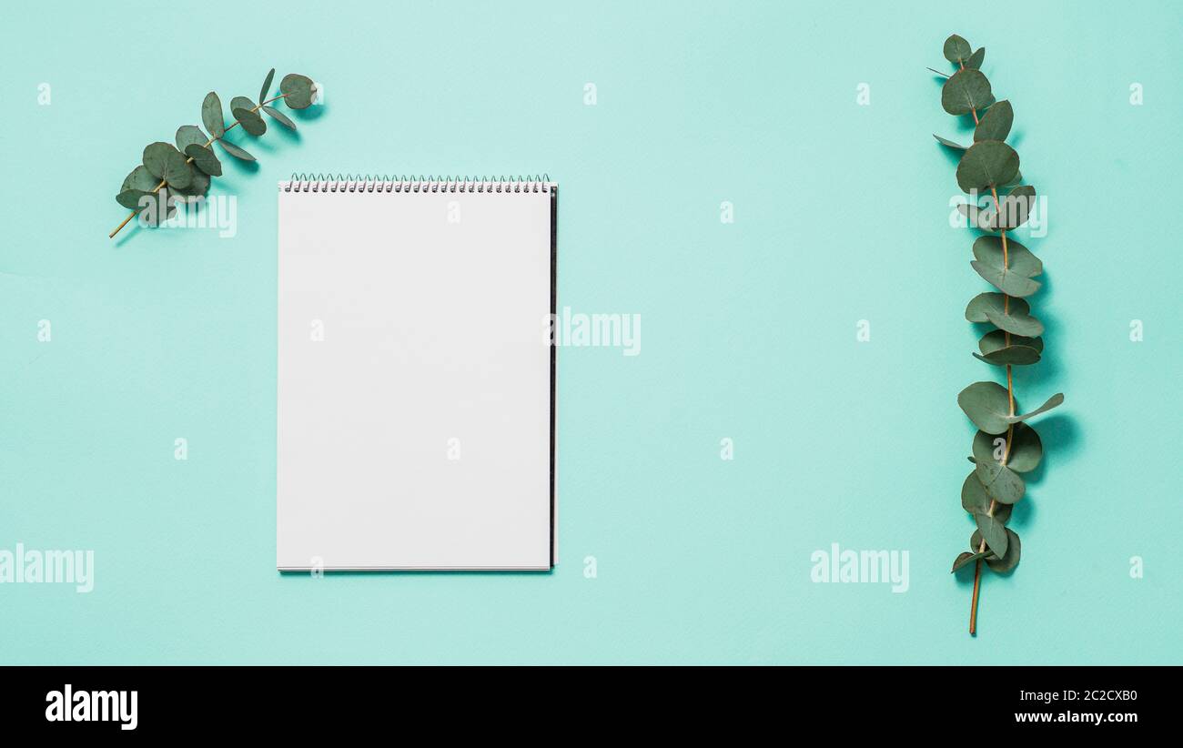 Blank notebook and eucalyptus on blue background Stock Photo