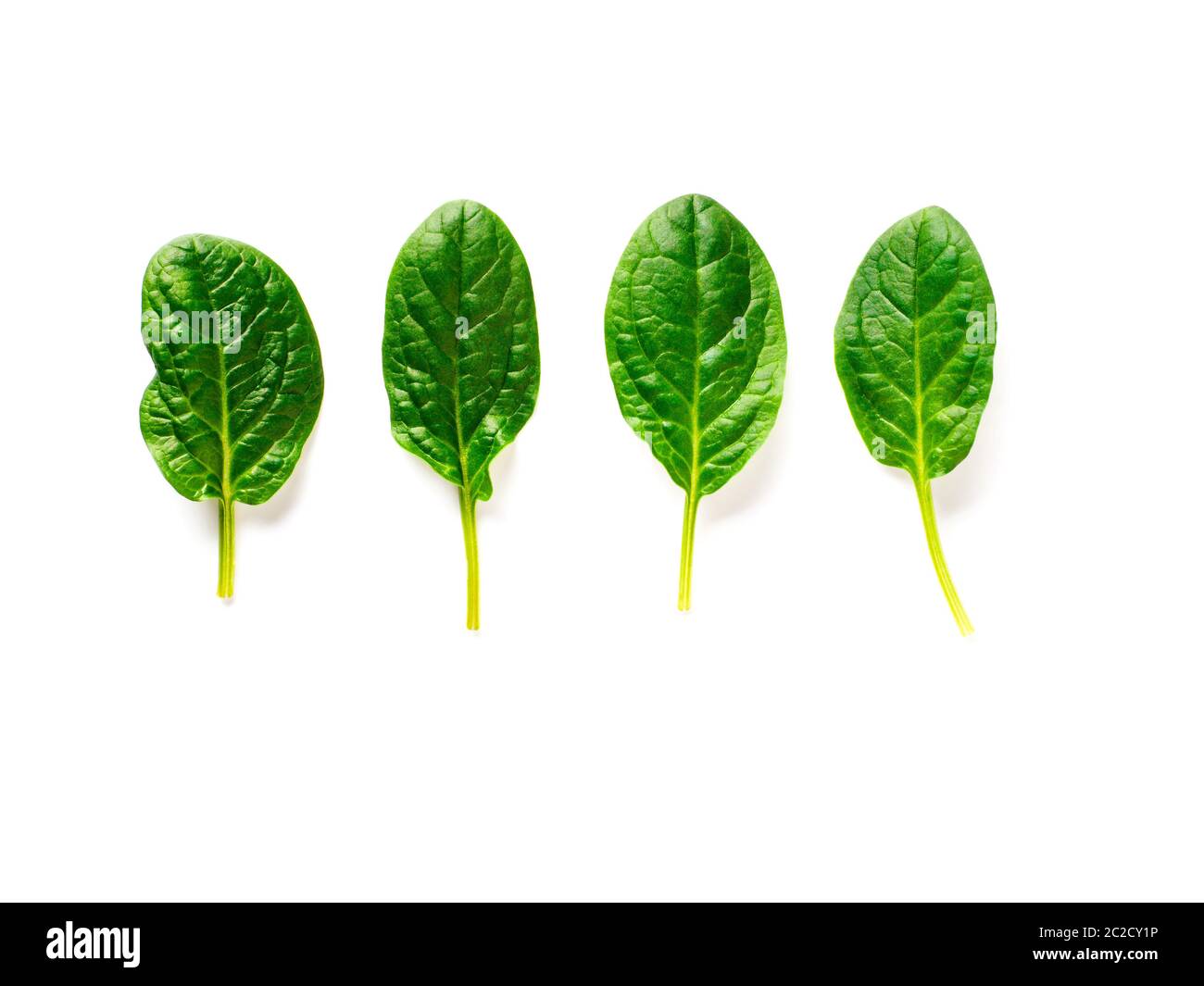 Four baby spinach leaves isolated on white Stock Photo Alamy