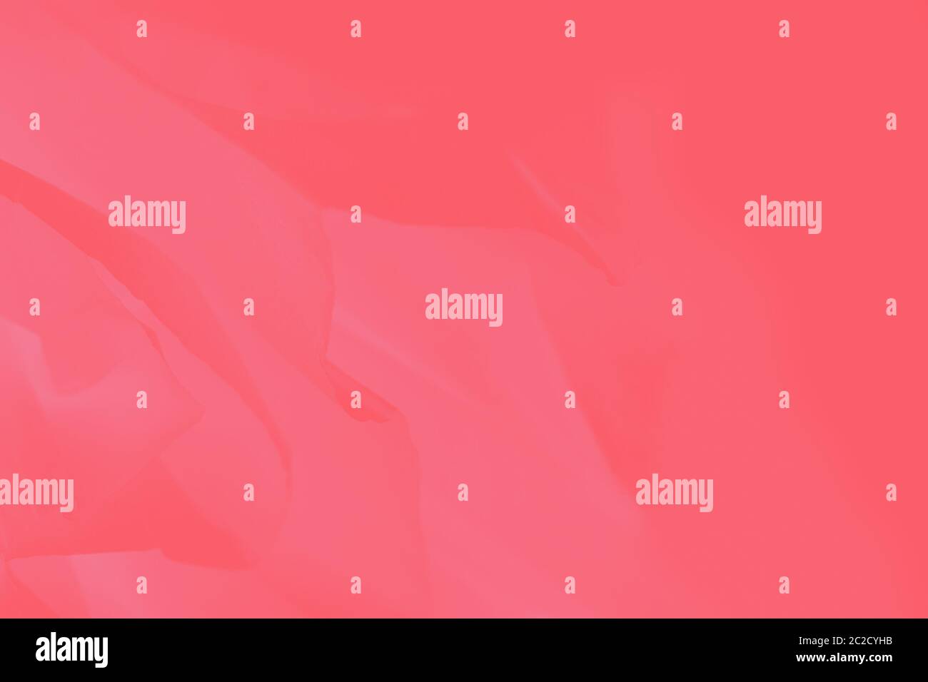 Pink coral gradient background, abstract blurred background Stock Photo