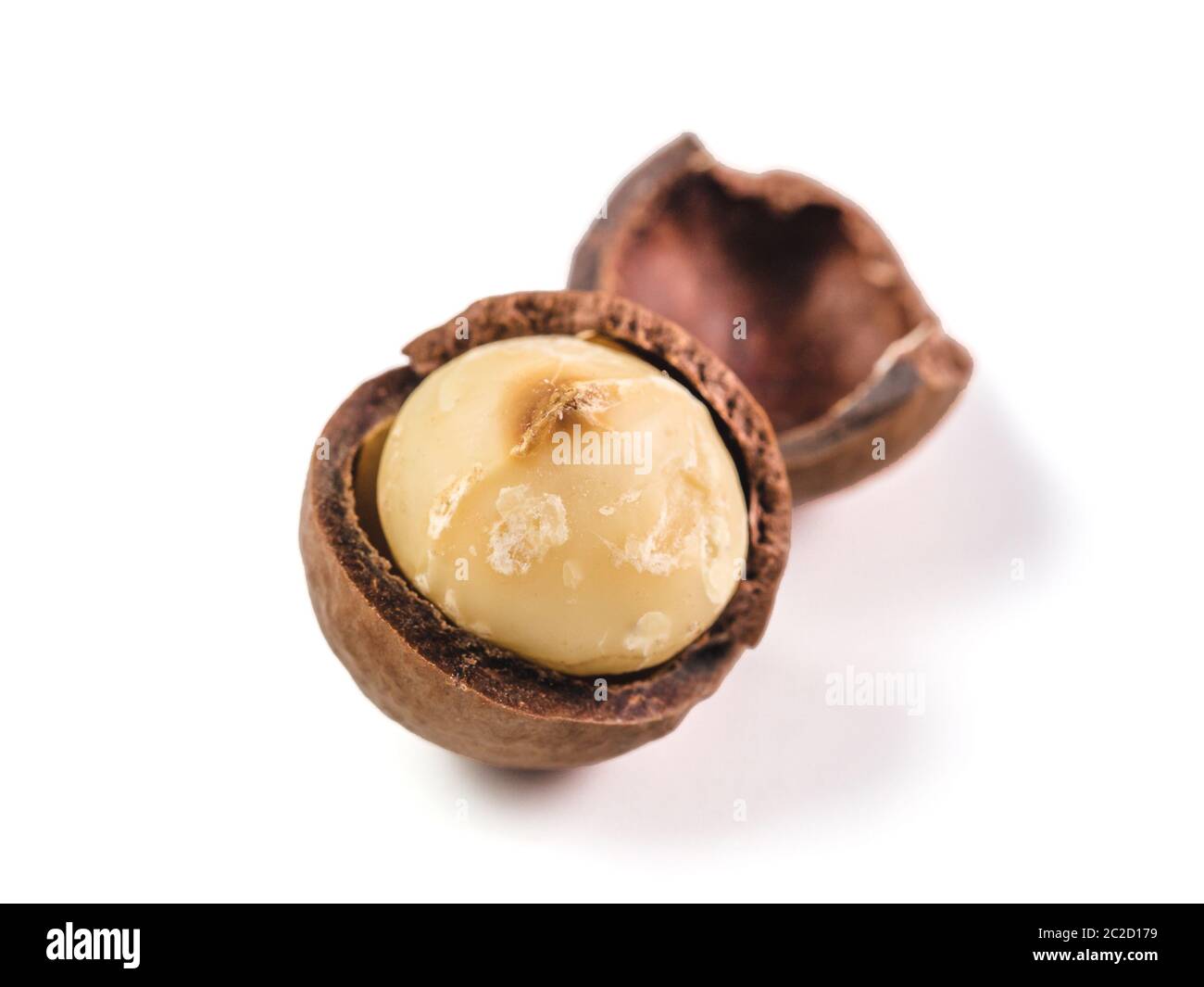 macadamia nut isolated on white Stock Photo