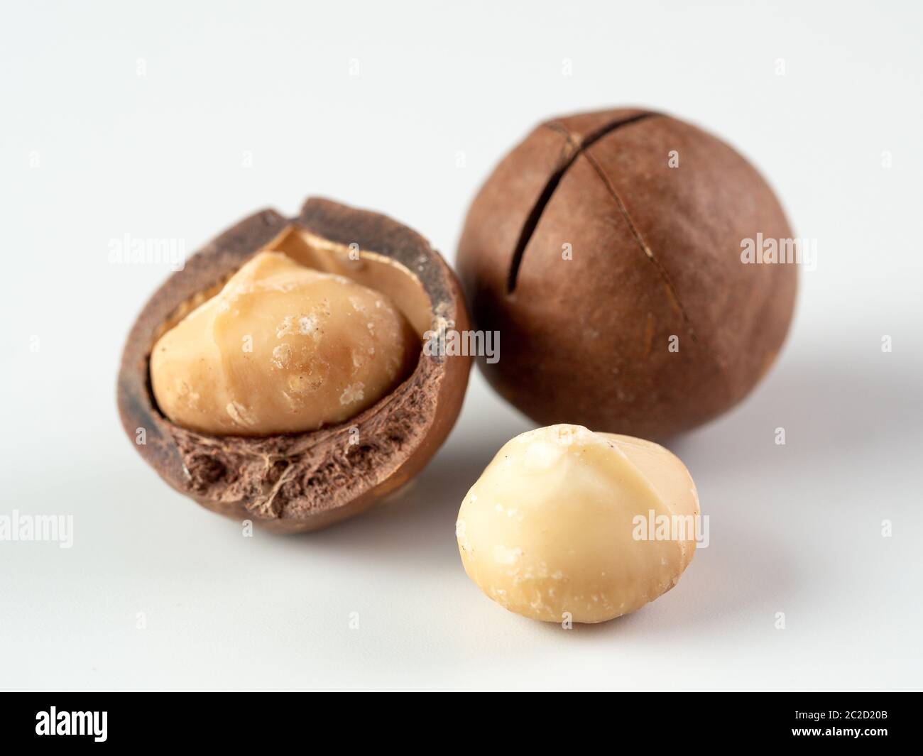 Three macadamia nuts isolated on white Stock Photo