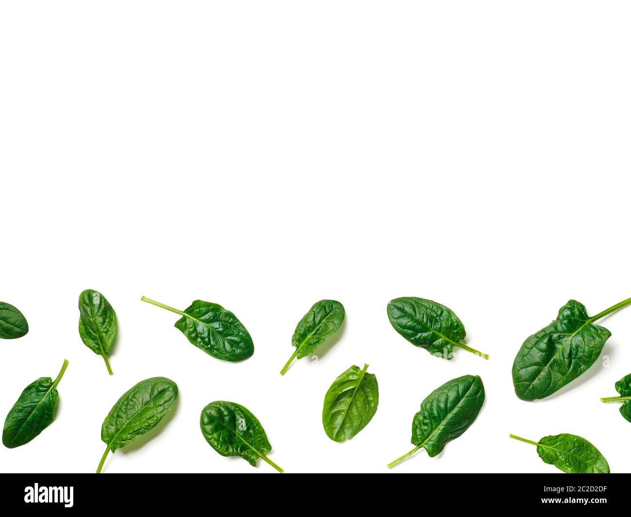 Pattern from baby spinach isolated Stock Photo - Alamy