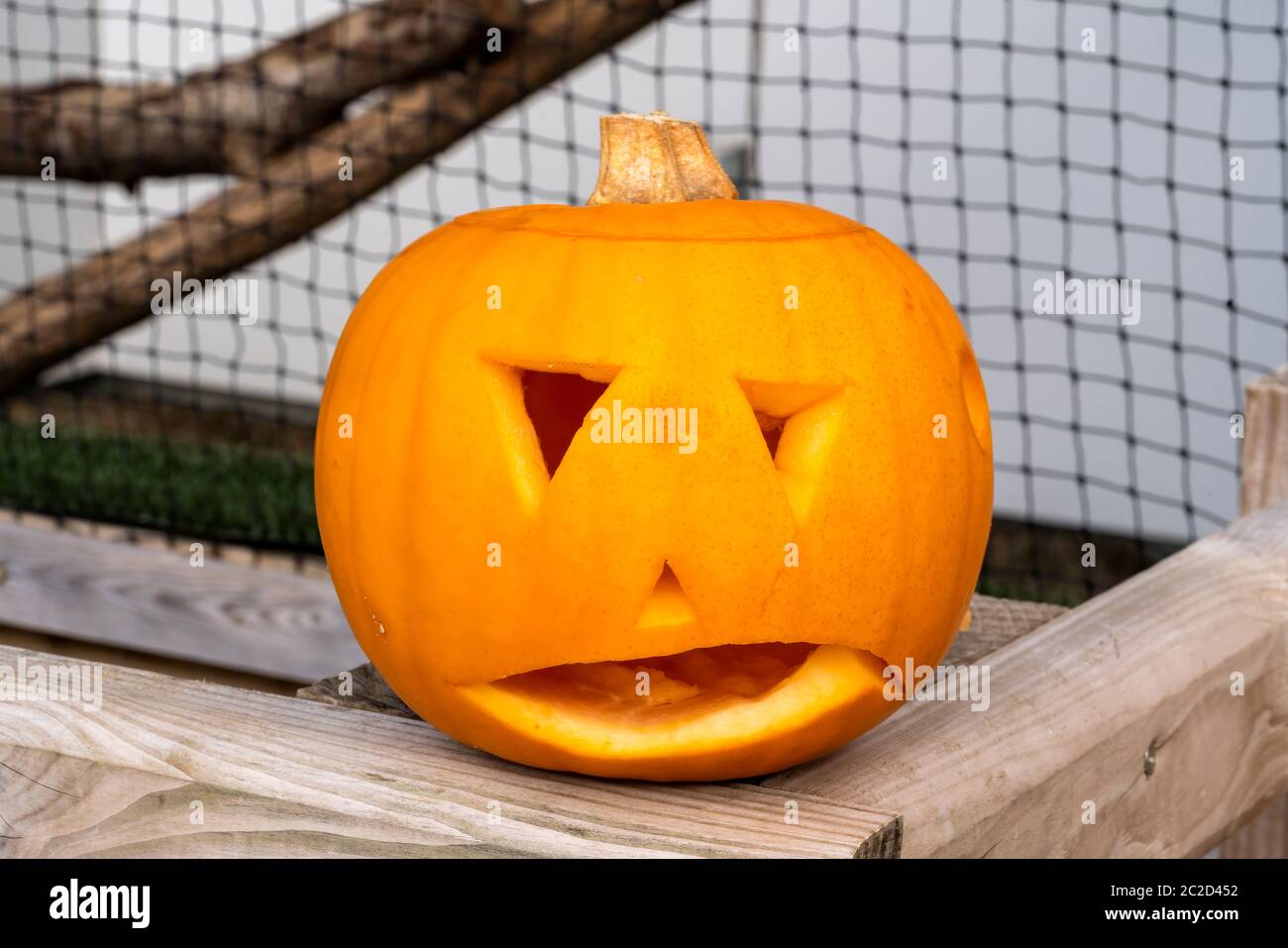 Halloween Jack o' lantern pumpkin Stock Photo - Alamy