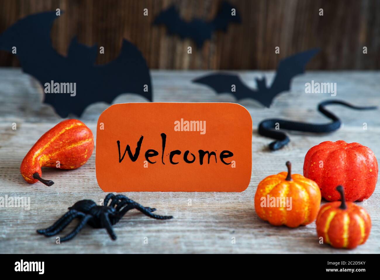 Orange Welcome Bat Spider Metal Sign Halloween Decor 14" NWT