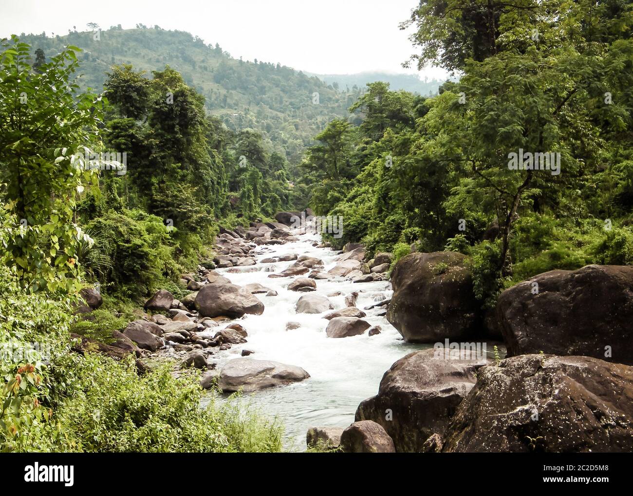 Main tributary of river Teesta, the Rangit river flowing through a dense pristine jungle in northeast of Rangpo Chu at Rangpo settlement just before t Stock Photo