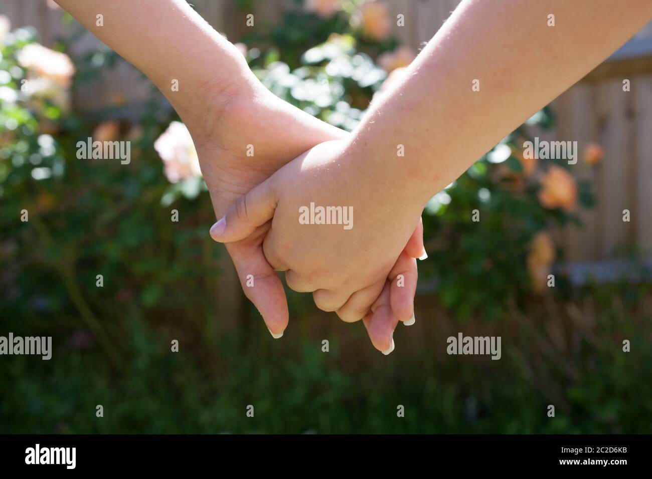 Flowers In Girls Hands High Resolution Stock Photography And Images Alamy