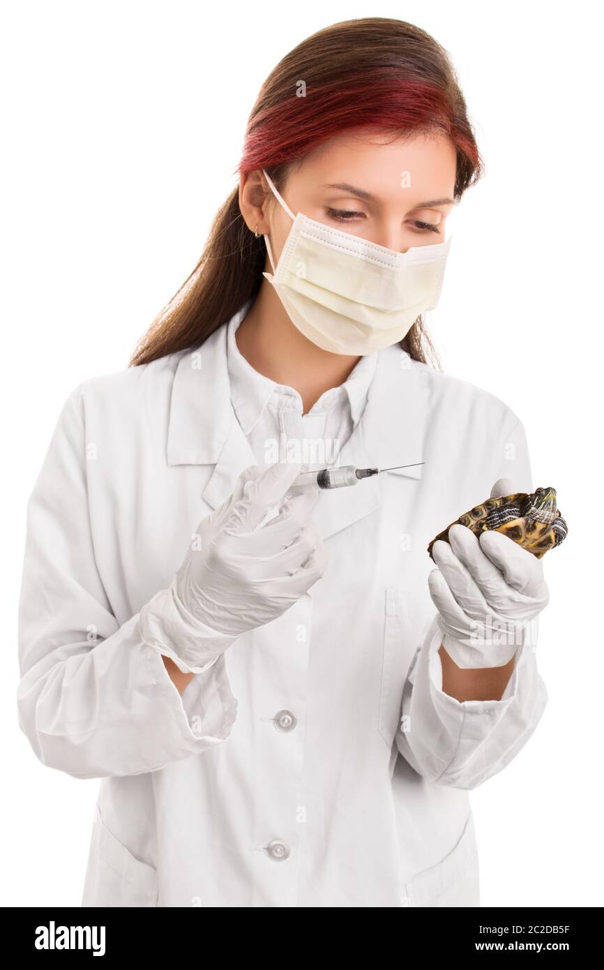 Taking care of the animals. Young female veterinarian in lab coat, surgical mask and syringe