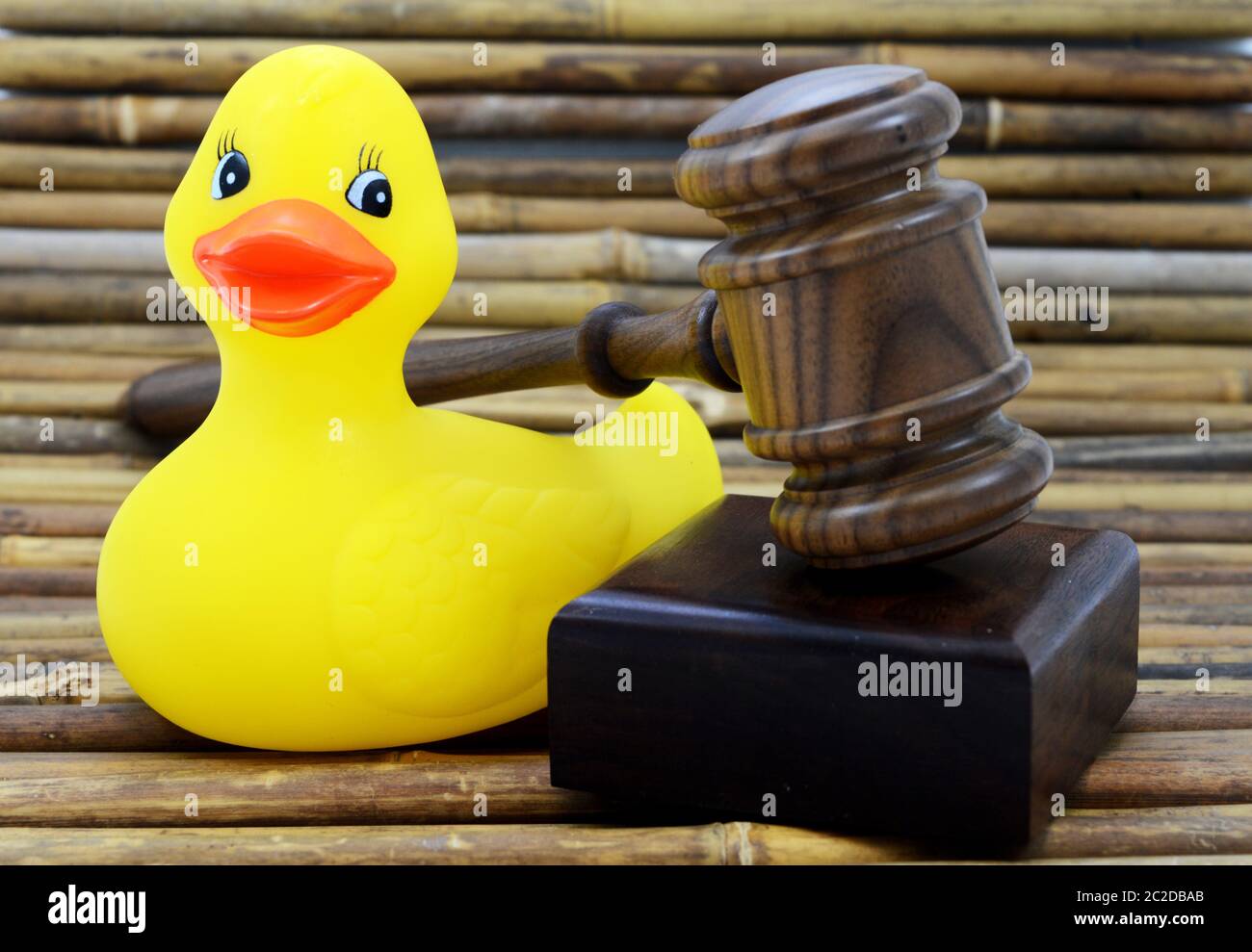 A rubber duck and gavel to give conceptual meaning to ideas like child