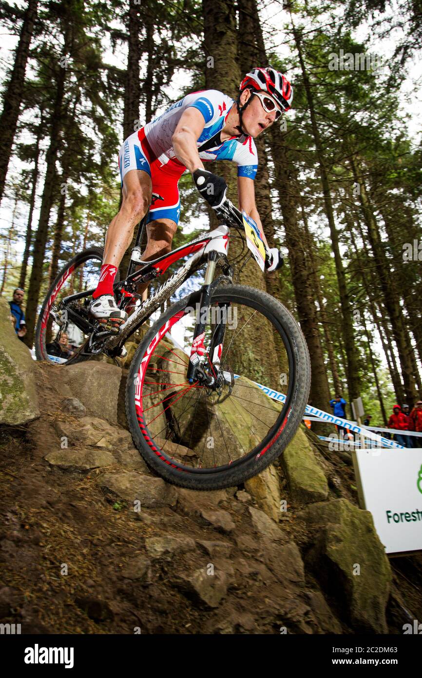 specialized england
