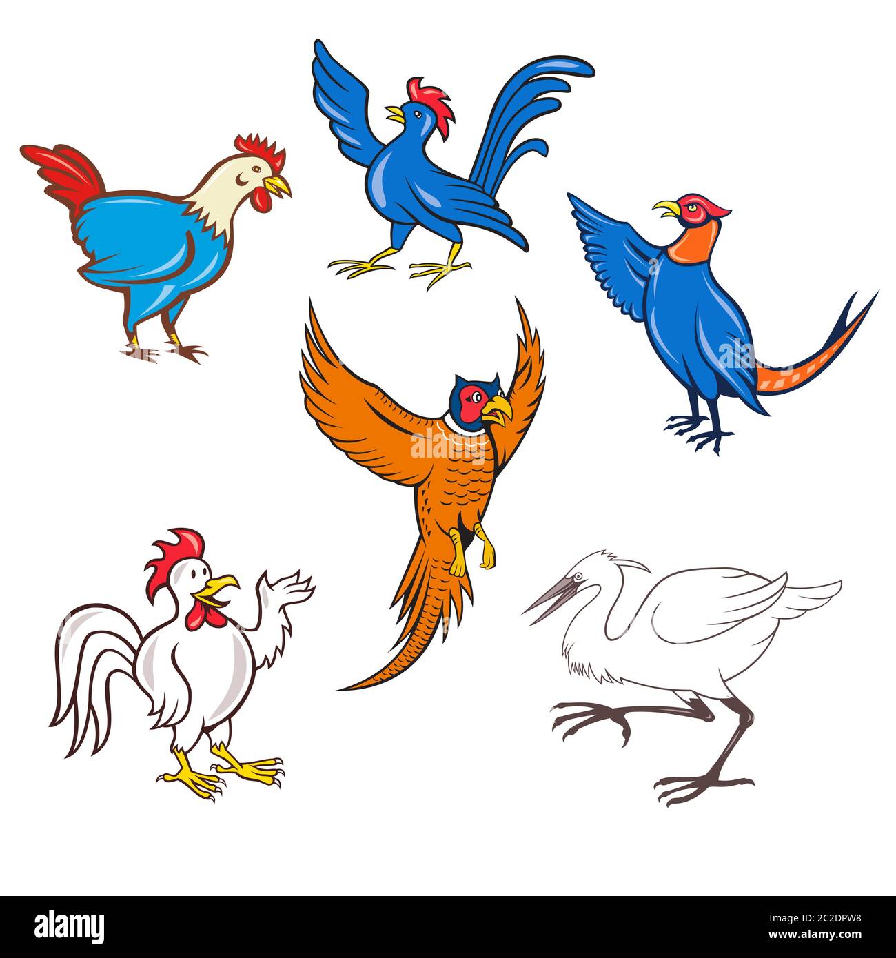 Set or collection of cartoon character mascot style illustration of fowl or bird such as chicken, cockerel, rooster, pheasant, crane or heron on isola Stock Photo