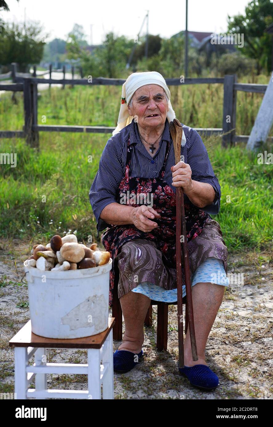 An old woman, the mushroomer, sitting near bucket full of mushrooms for sell. June 25, 2018. Bilki village, Ukraine Stock Photo
