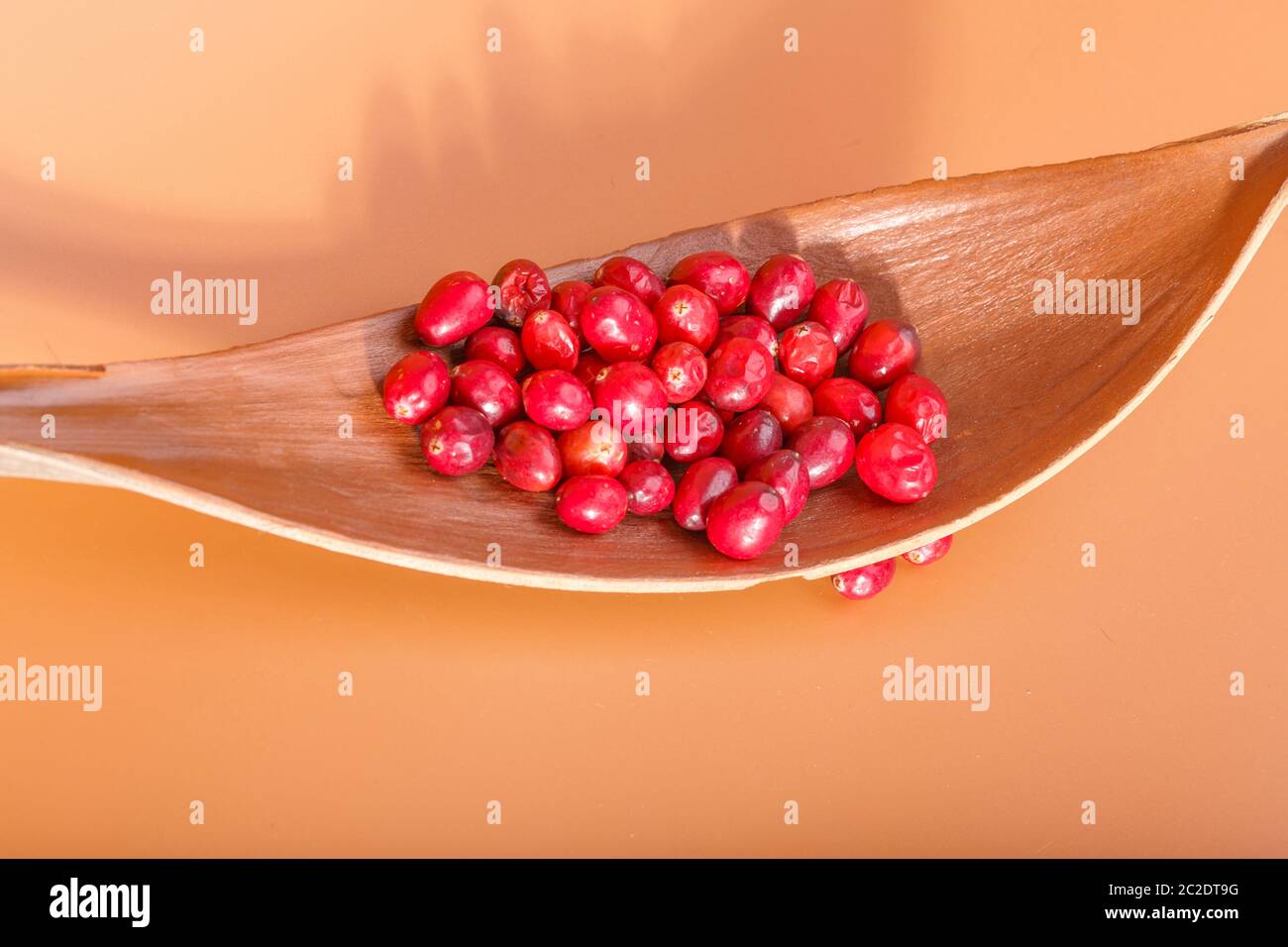 Cranberries Stock Photo