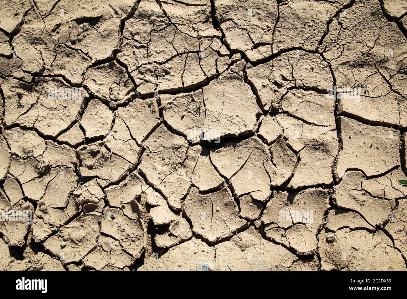 due to lack of rain, the earth dried up with cracks, climate change Stock Photo