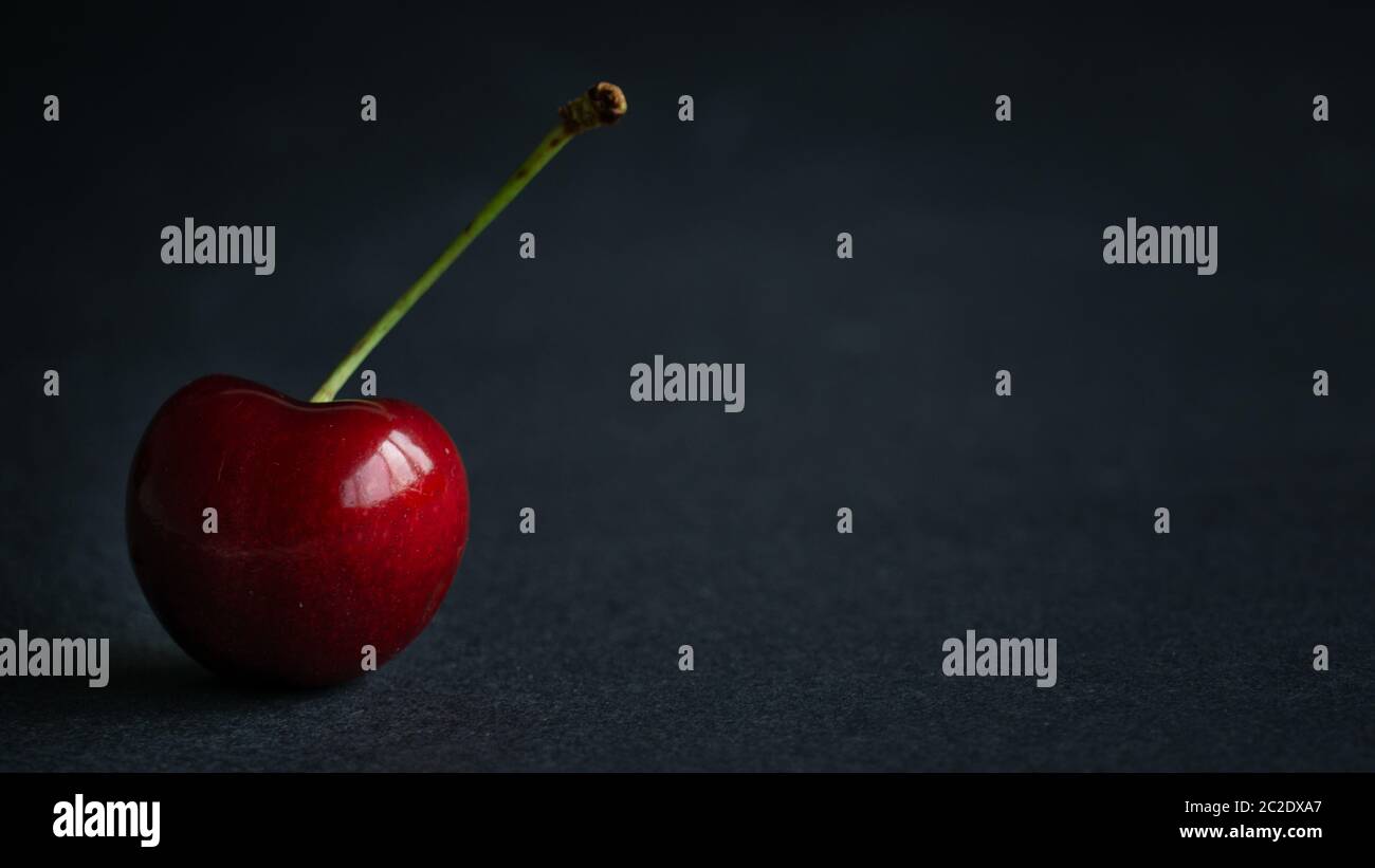 Close up view of fresh fruit sweet ripe cherry in dark light and black ...