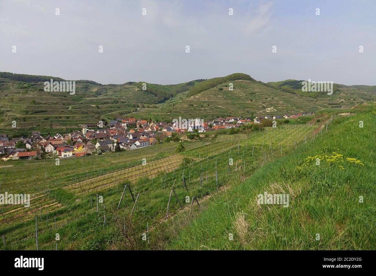 View over the vineyards on Oberbergen in the imperial chair Stock Photo