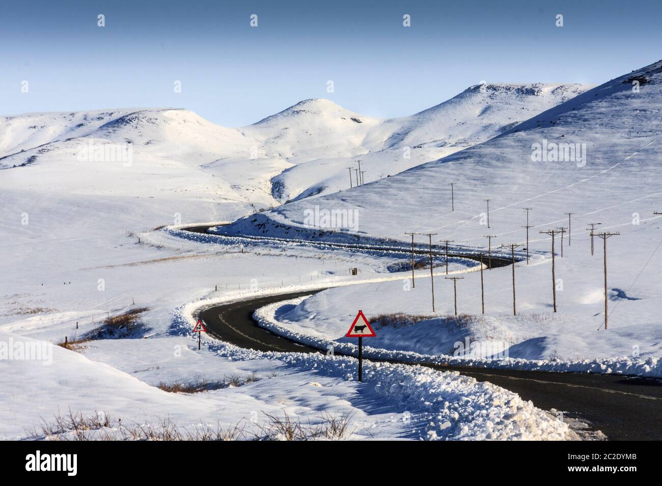 A rare South African snow landscape scene in the KwazuluNatal Midlands