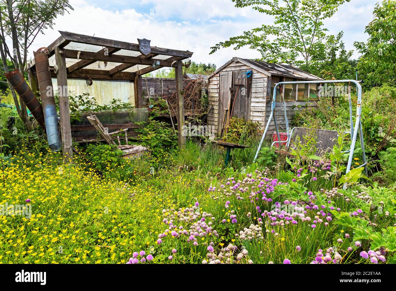 Overgrown plot with wild flowers, wooden hut and abandoned garden seat, Eglinton Growers Allotments, Kilwinning, Ayrshire, Scotland, UK Stock Photo