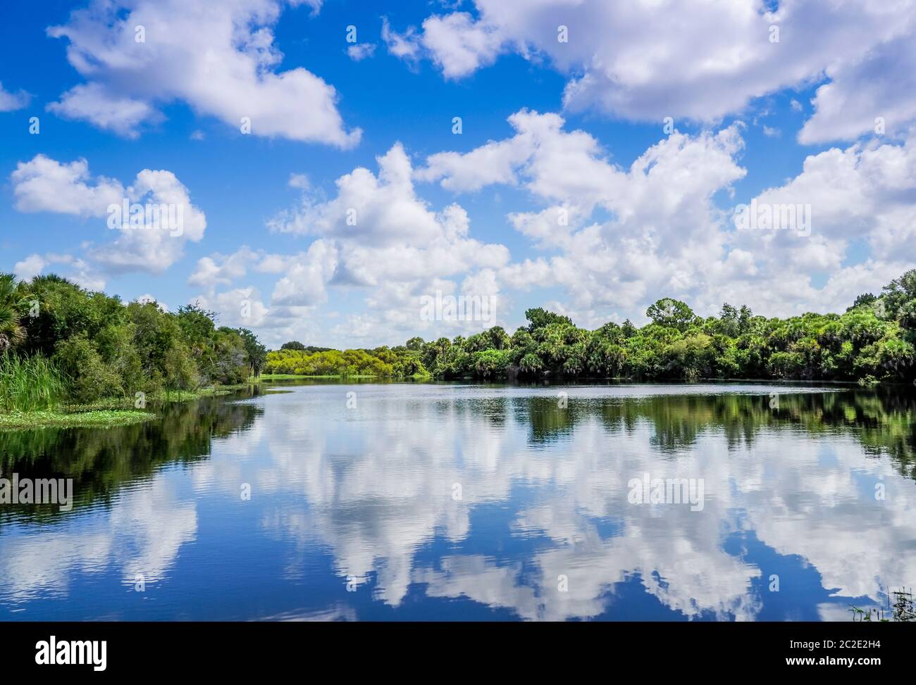 Deer Prairie Creek in Deer Prairie Creek Preserve in Venice Florida Stock Photo