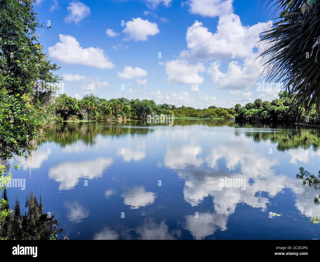 Deer Prairie Creek in Deer Prairie Creek Preserve in Venice Florida Stock Photo