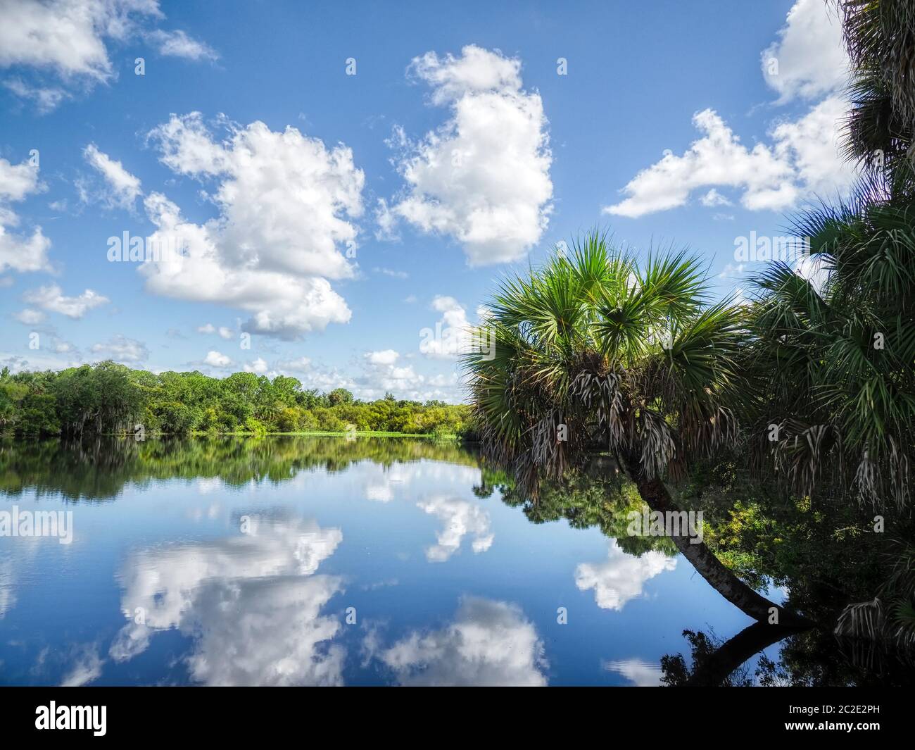 Deer Prairie Creek in Deer Prairie Creek Preserve in Venice Florida Stock Photo