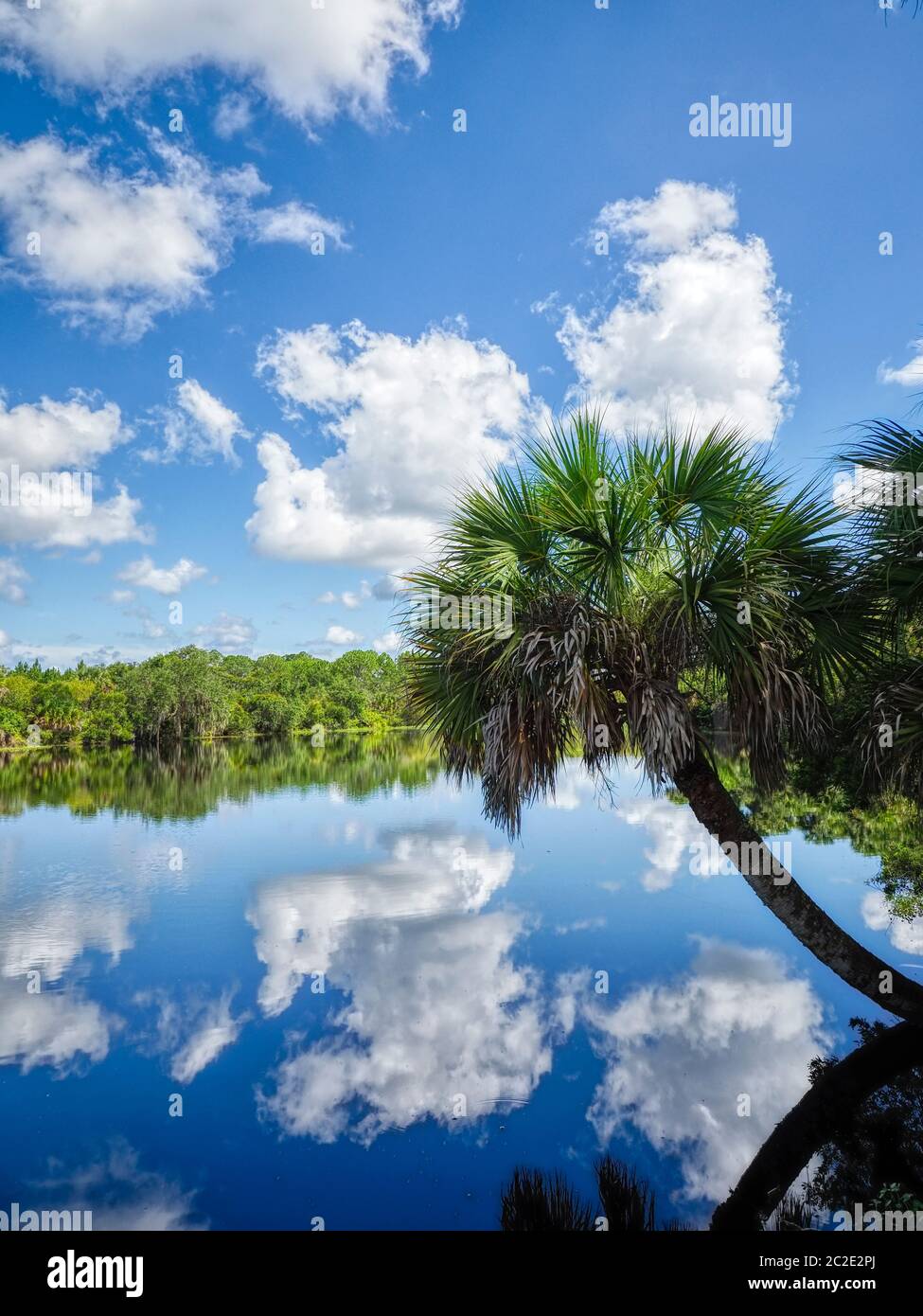 Deer Prairie Creek in Deer Prairie Creek Preserve in Venice Florida Stock Photo