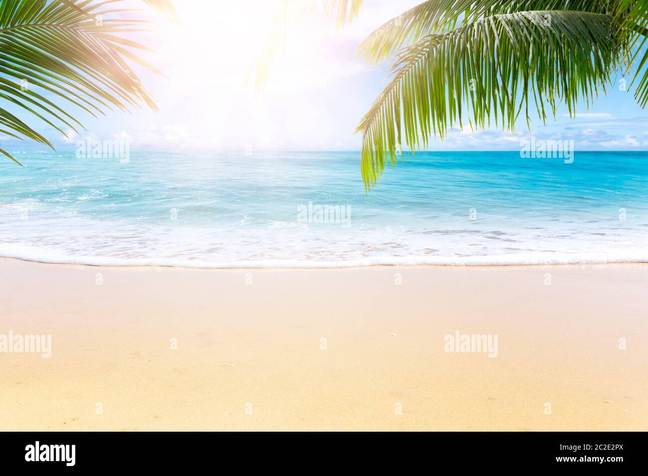 Sunny tropical beach with palm trees Stock Photo - Alamy