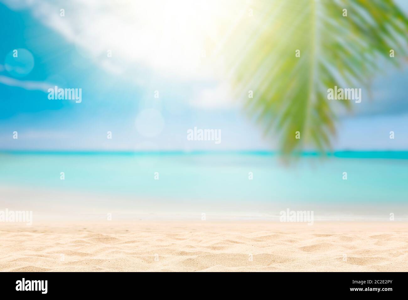 Sunny tropical beach with palm trees Stock Photo - Alamy