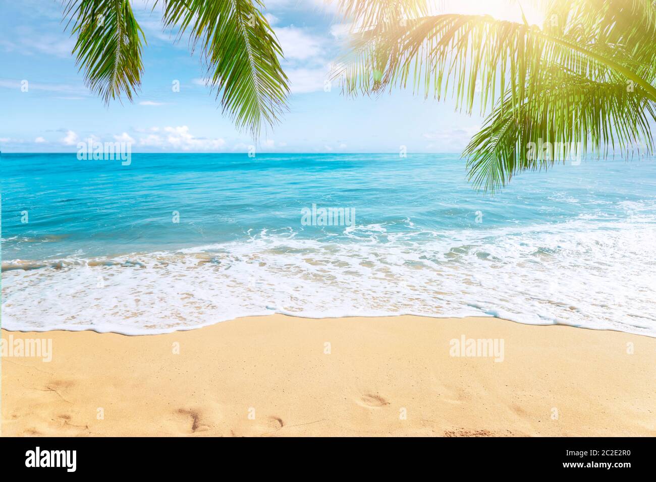 Tropical beach palm trees hi-res stock photography and images - Alamy
