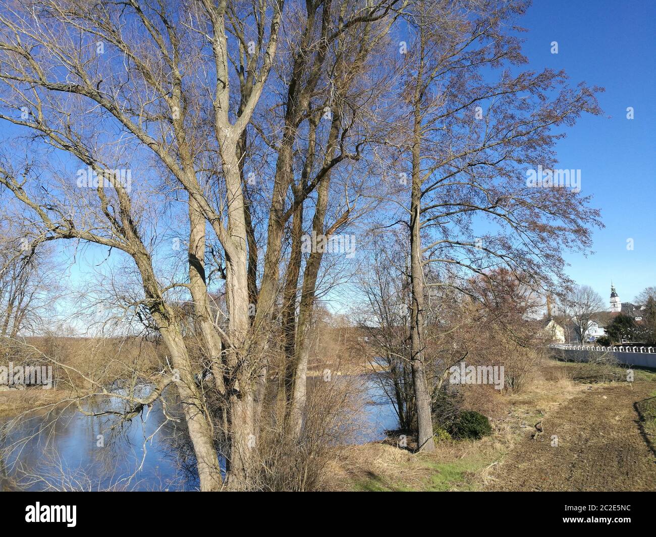 Kahle Bäume an der Zschopau in Sachsen, im Hintergrund die Kleinstadt Frankenberg, sonniger, schneefreier Tag mit blauem Himmel im Zschopautal am Rand Stock Photo